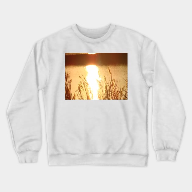 Golden Sun Crewneck Sweatshirt by saradaboru